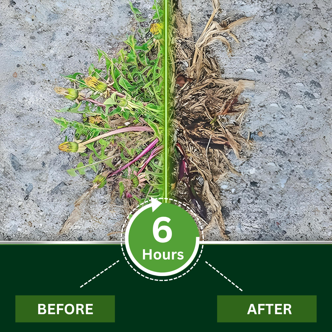 Shinneey® 2 in 1 Max Power Herbicide (𝟟𝟘% 𝕆𝔽𝔽 𝗘𝗡𝗗𝗦 𝗜𝗡 𝟭𝟬 𝗠𝗜𝗡𝗨𝗧𝗘𝗦)