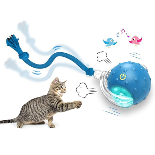 🐱✨ Frunild® Smart Rolling Cat Toy Ball
