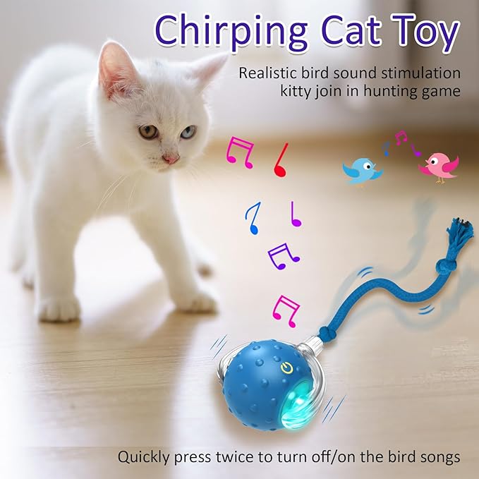 🐱✨ Frunild® Smart Rolling Cat Toy Ball