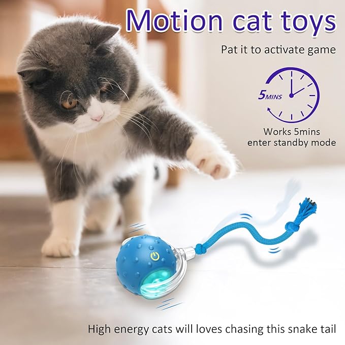 🐱✨ Frunild® Smart Rolling Cat Toy Ball